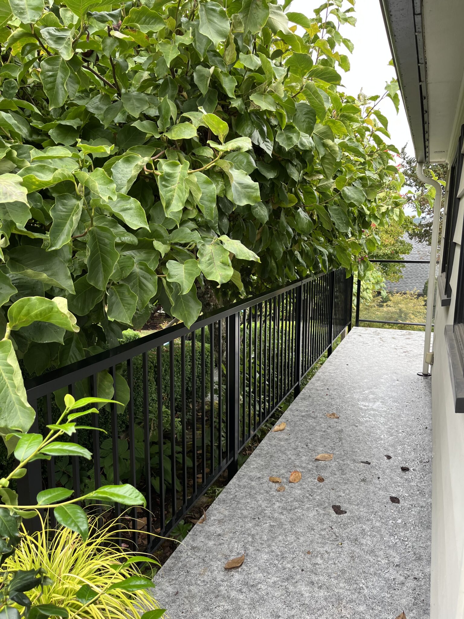 Black metal handrail mounted beside the front steps of a home in Port Alberni, providing a sturdy safety rail leading to the entrance.